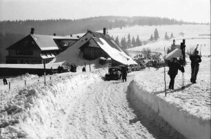 Schauinsland: Straße zur Halde (Hofsgrund) mit Autos