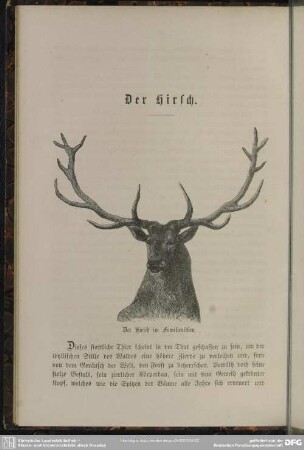 Der Hirsch