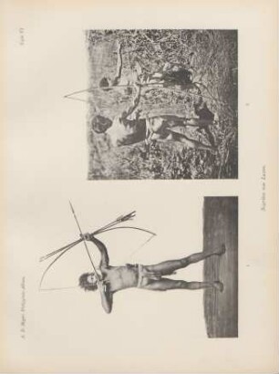 Tafel VI. Negritos von Luzon
