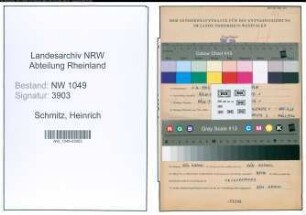 Entnazifizierung Heinrich Schmitz , geb. 01.06.1909 (Kaufmann)