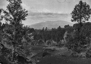 Mount Entoto : Landschaft am Mount Entoto