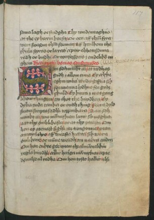 Contitutiones sive additiones ad regulam S. Salvatoris, schwed.