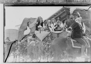 Fasnacht Sigmaringen; Umzugswagen