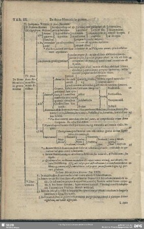 Tab. III. De Bono Hominis in genere