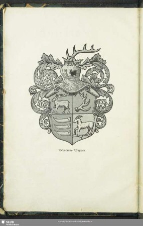 Biberstein-Wappen