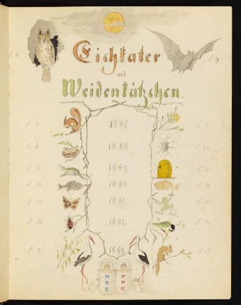 Eichkater und Weidenkätzchen