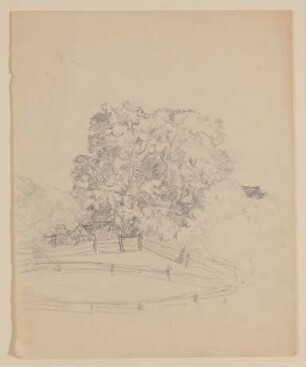 Weide vor Bäumen [lose einliegendes Blatt aus Maximiliane von Arnims Skizzenbuch mit Motiven aus Wiepersdorf und Rügen]