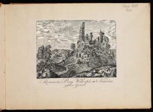 Ruinen der Burg Wildenfels im Nürnbergischen Gebiet. - Burg Wildenfels, Simmelsdorf-Wildenfels