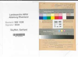 Entnazifizierung Gerhard Seyffert , geb. 13.01.1903 (Sachbearbeiter)