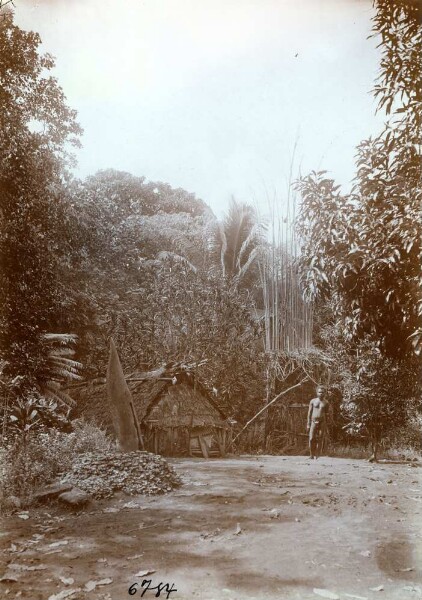 "Statue cachée. Malekula".