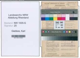 Entnazifizierung Karl Giebkes , geb. 02.03.1907 (Schlosser)
