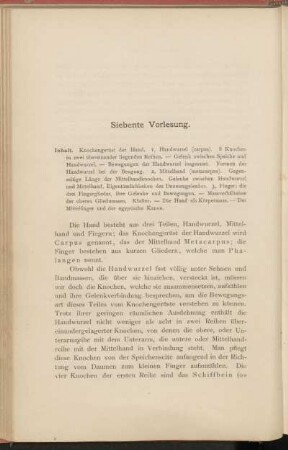Siebente Vorlesung.