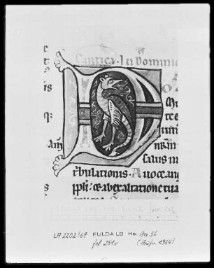 Vollbrevier — Initiale D, darin ein Drache, Folio 251verso