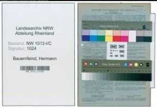 Entnazifizierung Hermann Bauernfeind , geb. 04.09.1911 (Schmied)