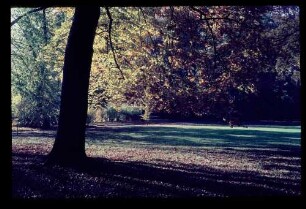 Park Glienicke 23.10.65.