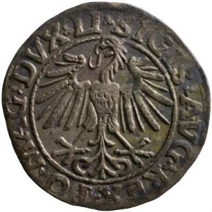 Münze, Kwartnik, 1548