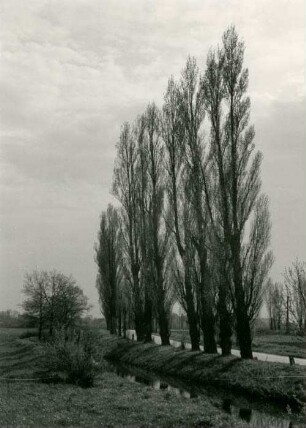 Großzschocher, Straße nach Knauthain