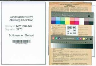 Entnazifizierung Gertrud Schluesener , geb. 11.09.1910 (Geschaeftsfuehrerin)