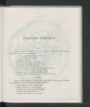 Explicatio Tabularum.