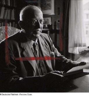 Portraitserie Hermann Staudinger