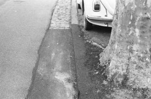 Anwohnersorgen um die Wurzel-Belüftung der Platanen in der Turmbergstraße und Posseltstraße
