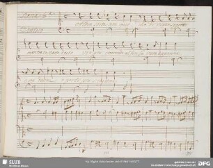 Recitativo: Altra sorte non cerco
