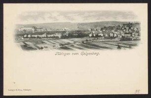 38, Tübingen vom Galgenberg.
