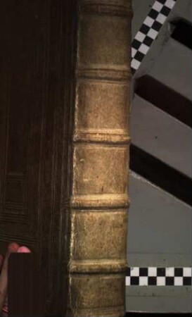 Lexicon Ivridicvm, Sive Verborvm Et Rervm Ad Ivris Rom. Civilis Simvl Et Pontificii Theoriam Et Praxim Pertinentivm Thesavrvs Locvpletiss. Simonis Schardii I. C. ...