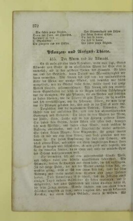Pflanzen- und Aufguß-Thiere