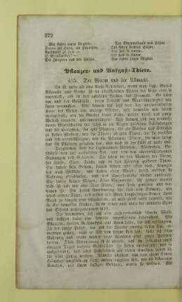 Pflanzen- und Aufguß-Thiere