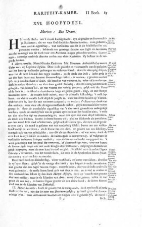 XVI. Hooftdeel. Murices: Bia Unam