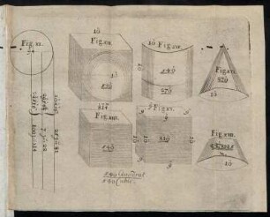Fig. XI. - Fig. XVII.