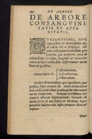 De Arbore Consanguinitatis Et Affinitatis.