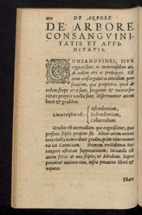 De Arbore Consanguinitatis Et Affinitatis.