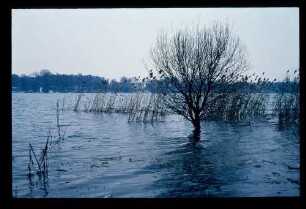 Havel 8.2.69.