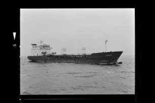 Antigua (1981), Kompass Reederei, Hamburg