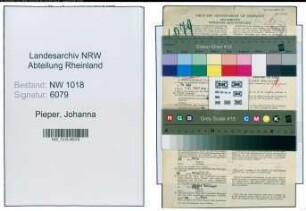 Entnazifizierung Johanna Pieper , geb. 24.06.1896 (Pflegerin)