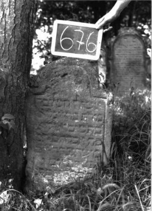 Grabstein 676 (Index: 100104895) Material: Sandstein Zustand: siehe freie Kommentierung Maße HxBxT: 76x46x11 cm Beschreibung: Stele, eingezogener Rundbogenabschluss, Schriftfeld eingetieft: Grabstein 676