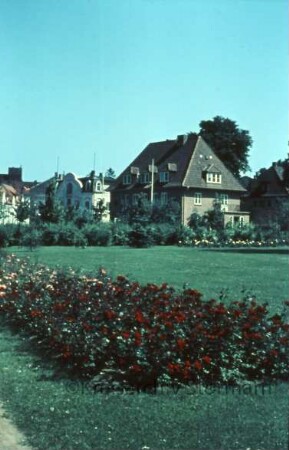 Kurpark: Anlagen, im Hintergrund Sülzberg