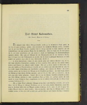 Das Genus Kalosanthes.