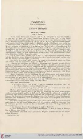 Aeltere Steinzeit