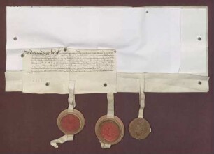 Transfix, die Bestätigung des Vertrags zwischen Markgraf Karl II. von Baden-Durlach und dem Domstift Speyer vom 12.05.1576 durch die badische Vormundschaft enthaltend