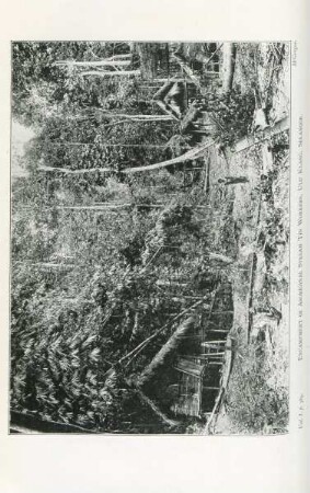 Encampment of Aboriginal stream tin workers, Ulu Klang, Selangor