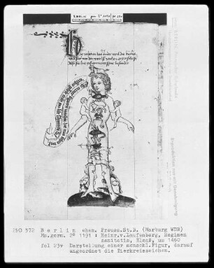 Heinrich von Laufenberg, Regimen sanitatis, deutsch — Menschliche Figur (Aderlaßmann) mit Tierkreiszeichen, Folio 23verso
