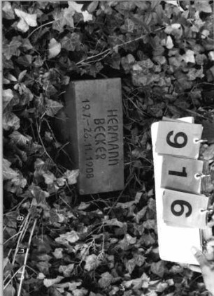 Grabstein 916 [Hahn S. 235 Grab-Nr. 1267]