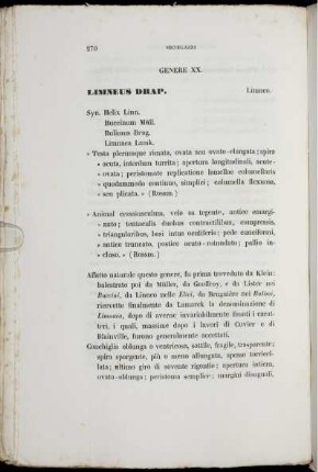 Genere XX. Limneus Drap.