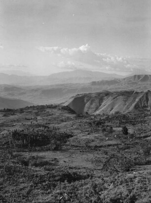 Hochplateau : Sicht über das Plateau von Ubamer mit Baum- und Buschbewuchs.