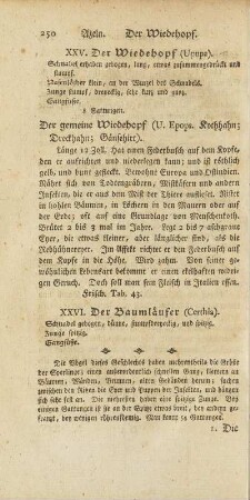XXV. Der Wiedehopf