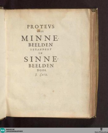 Proteus ofte Minne-beelden verandert in Sinne-beelden