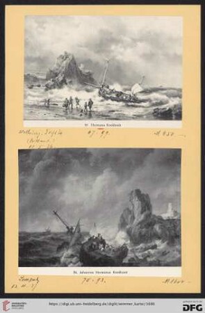 Koekkoek, Hermann